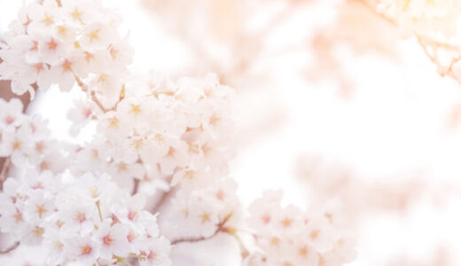 桜散った18歳の春、英語との新たな出会い