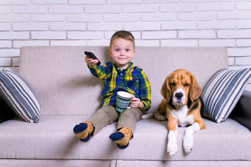 リモコンを持った男の子が大きな犬と一緒にソファに座ってテレビを見ている。